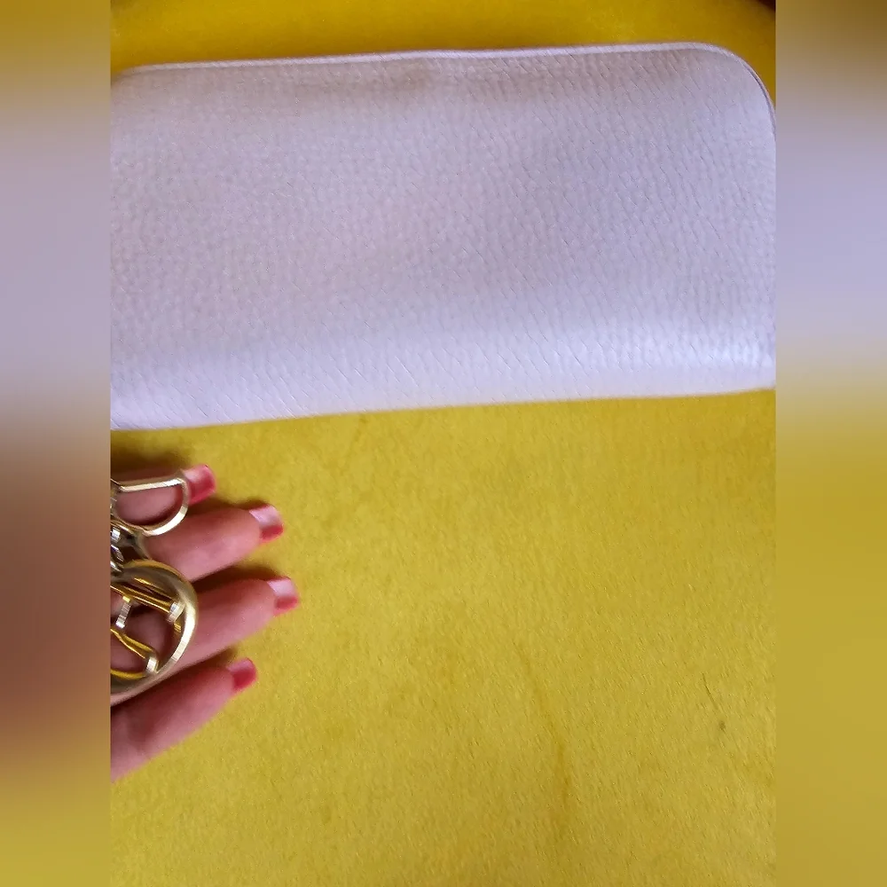 Euc Dior Long Wallet